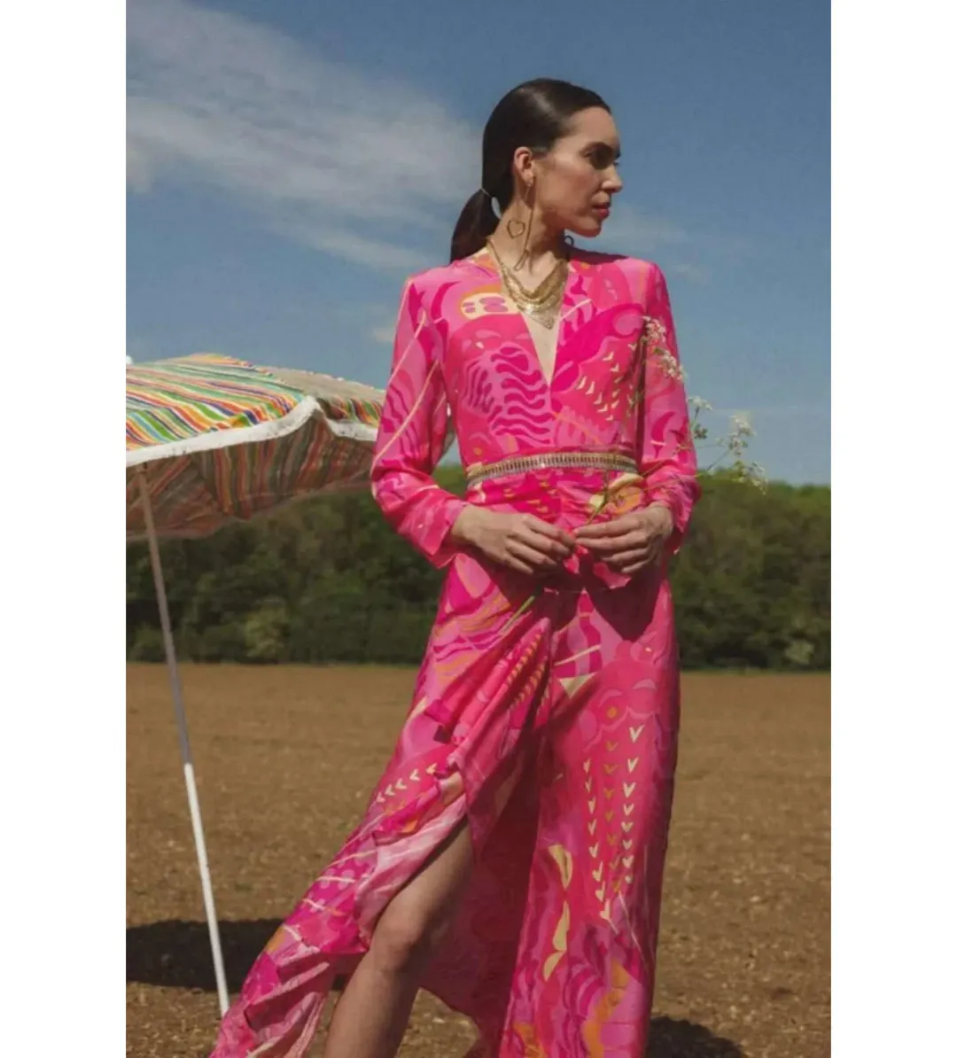 Rixo Rose Psychedelic Butterfly Dress Pink Print Size UK 10 for rent on The Volte - main image