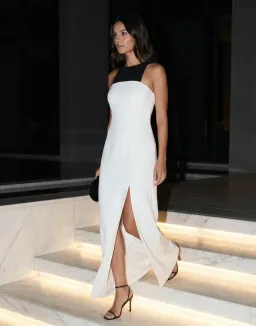 Reiss Dress for rent on The Volte - image 1